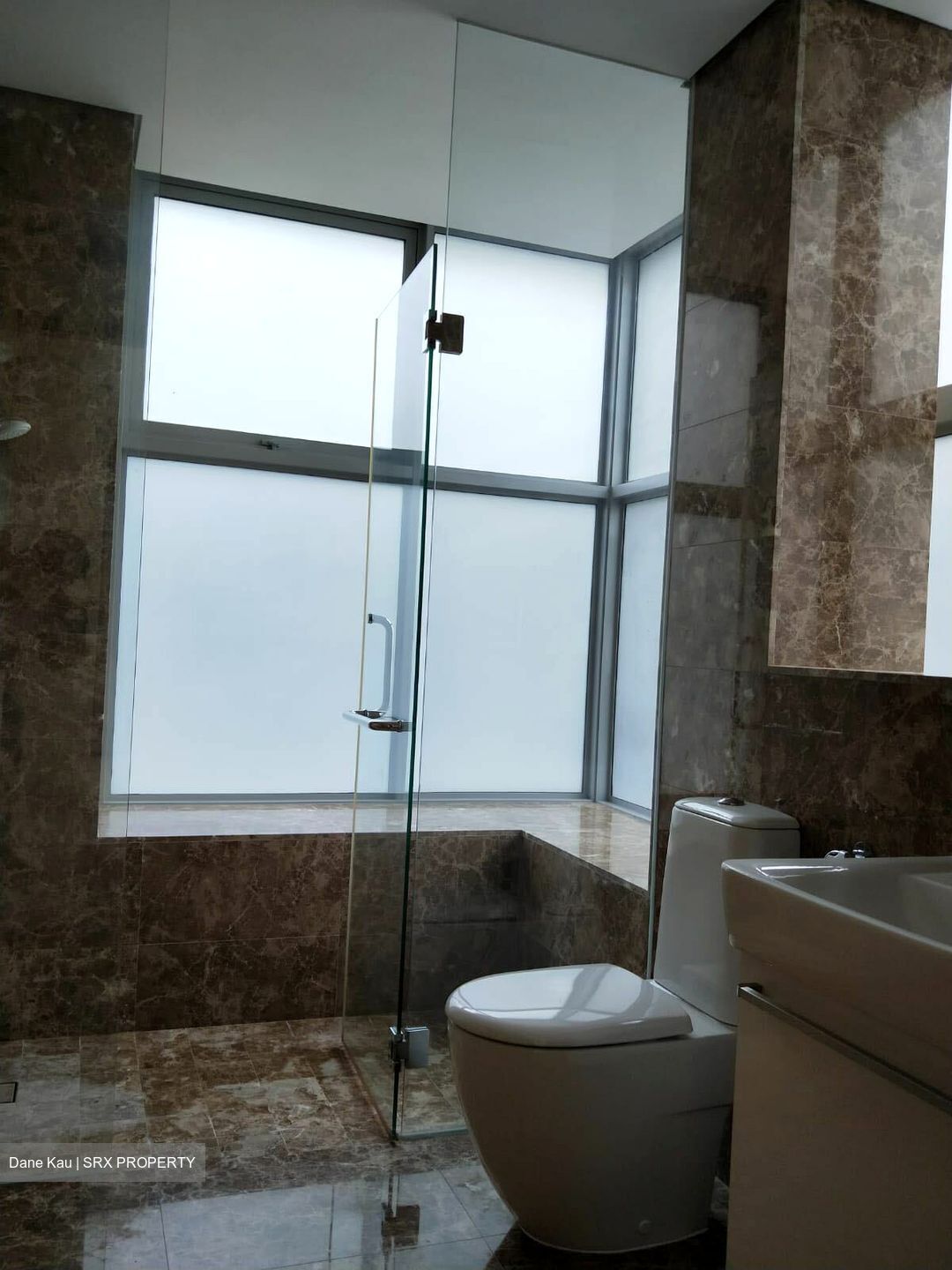 Residences @ Killiney (D9), Apartment #439806771
